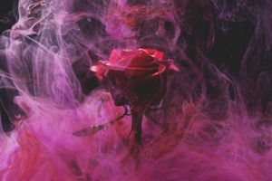 smoke smell remediation